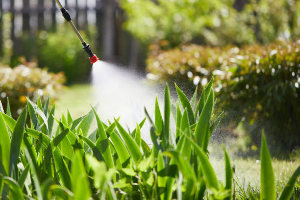 24/7 Emergency Mosquito Control experts in Falcon Heights, MN